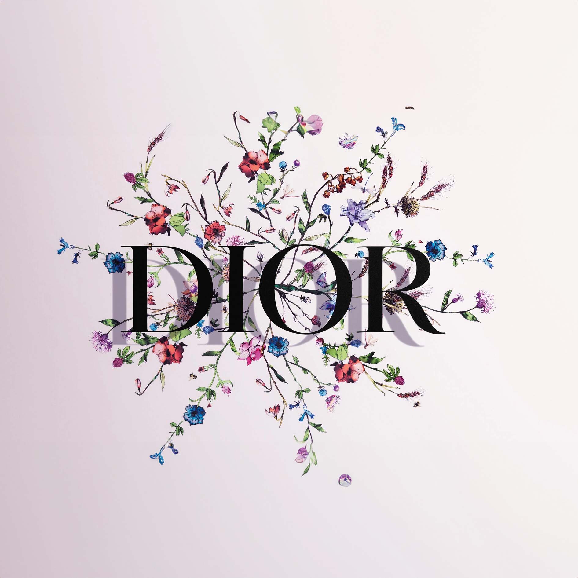 DIOR parfum logo - Digital eCommerce